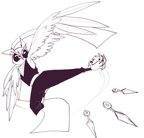 Action shots of said owl to develop personality / understand how he moves